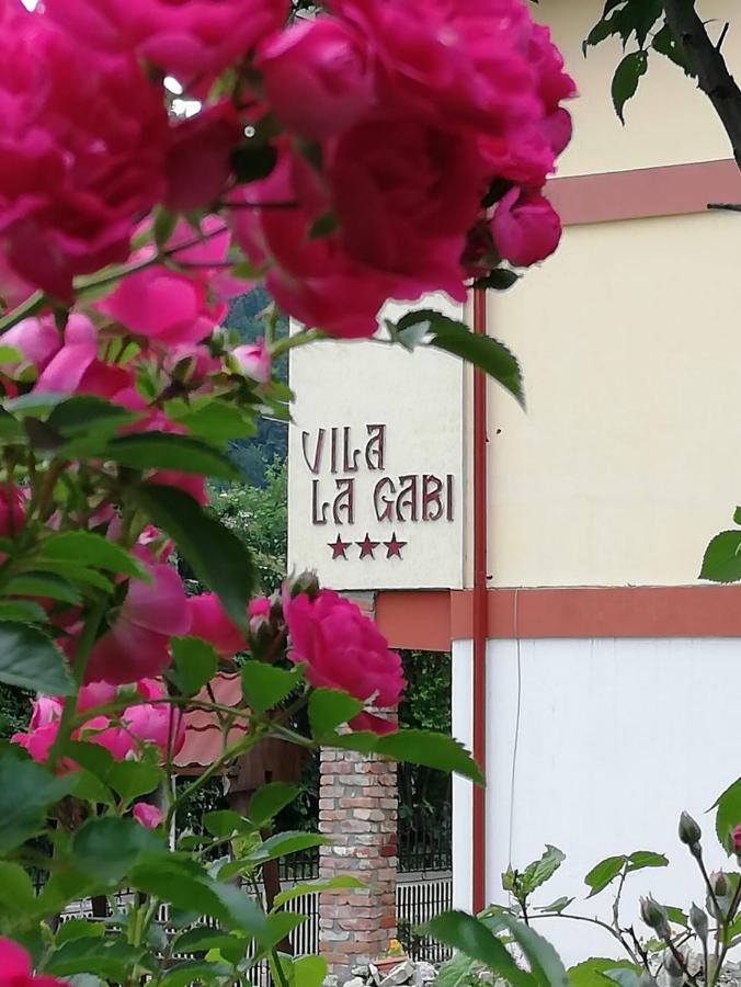 La Gabi Hotell Azuga Exteriör bild